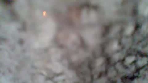 e-Bizl online show from March 2025 01:18:01 PM