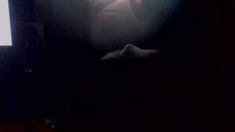 e-Bizl online show from October 2025 06:30:01 PM