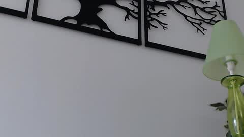 Snapshot of glan_do_line chatting on February 2025 01:11:02 PM Pauline online show from February 2025 01:11:02 PM