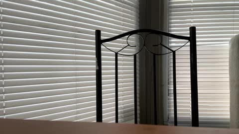 Snapshot of glazehoney chatting on January 2025 05:02:01 PM glazehoney online show from January 2025 05:02:01 PM