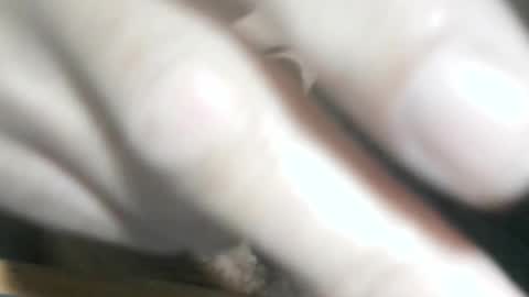 Glyder online show from November 2025 03:33:01 PM