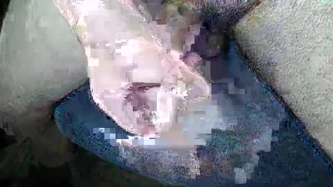 Snapshot of gman41000 chatting on December 2024 04:06:02 AM Gman online show from December 2024 04:06:02 AM