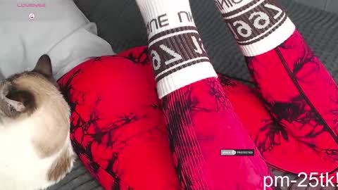 Goddess EmmaBratt princess online show from February 2026 01:49:02 PM