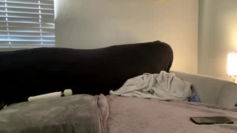 GoddessMayvn online show from July 2026 02:33:02 AM