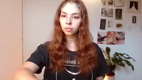 Alaska online show from December 2025 12:54:01 PM