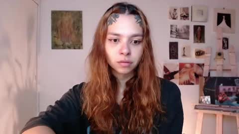 Alaska online show from April 2026 11:02:02 AM