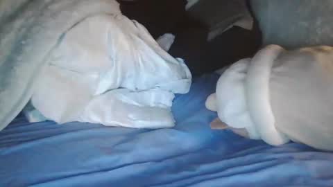 goodbiddings online show from January 2025 11:38:01 PM