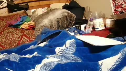 Juicy Booty online show from December 2024 03:59:02 PM