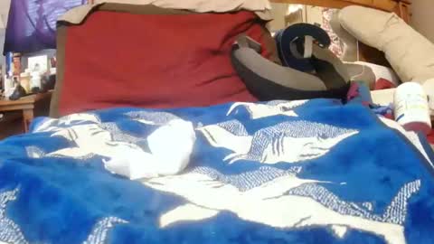 Juicy Booty online show from December 2024 03:24:02 PM