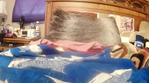 Juicy Booty online show from February 2025 02:46:02 PM