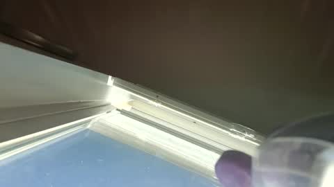 Snapshot of goosetrucker982440 chatting on September 2025 02:00:02 PM goosetrucker982440 online show from September 2025 02:00:02 PM