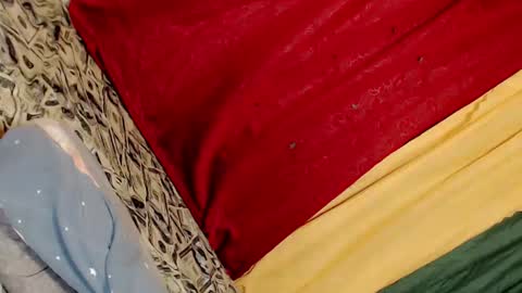 Snapshot of gorgeous_mafia16 chatting on February 2025 04:08:02 AM Janna Marie online show from February 2025 04:08:02 AM