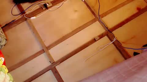 Snapshot of gorgeous_mafia16 chatting on February 2025 05:37:01 PM Janna Marie online show from February 2025 05:37:01 PM