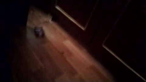 Gos Hawk online show from February 2025 07:54:02 AM