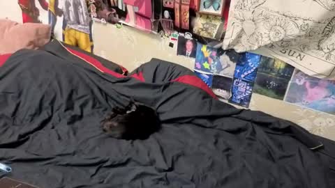 Amy online show from November 2025 08:42:02 PM