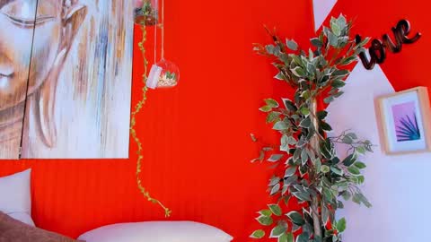 grace online show from February 2025 10:37:02 PM