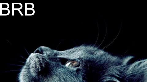 GrayceWild online show from January 2025 11:24:01 AM
