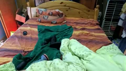 grekopix online show from March 2026 12:55:01 PM