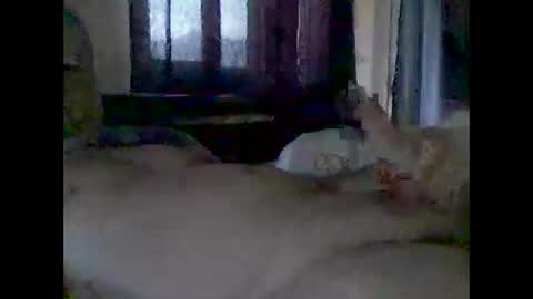 grittslappa online show from November 2025 12:42:01 AM