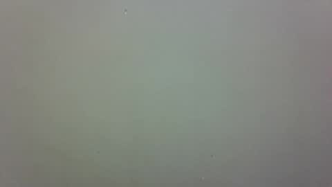 growerboy25 online show from November 2025 02:56:01 AM