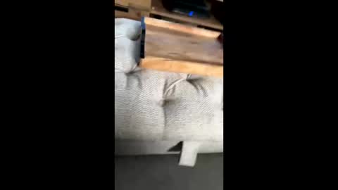 gt79802068 online show from November 2025 12:04:02 PM