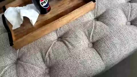 gt79802068 online show from April 2026 12:48:02 PM