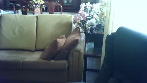 Snapshot of gutobhz249564 chatting on March 2025 06:07:01 PM gutobhz249564 online show from March 2025 06:07:01 PM