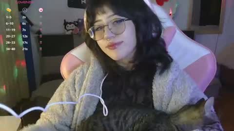 Hachiko online show from July 2026 01:23:02 AM