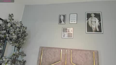 haileystonei online show from January 2026 11:02:02 AM