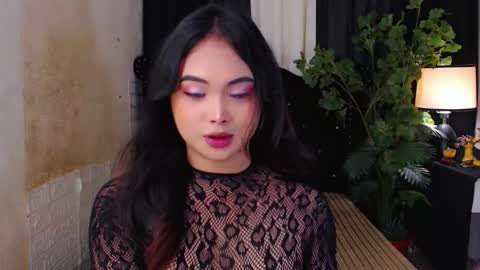 haily online show from November 2025 02:12:01 AM