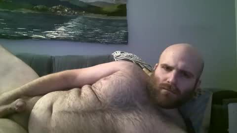 Hairiest Bear online show from December 2024 11:36:01 AM