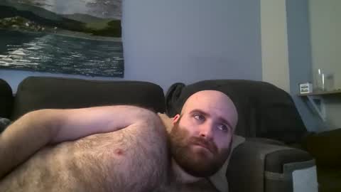 Hairiest Bear online show from January 2025 04:54:01 AM