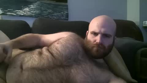 Hairiest Bear online show from January 2025 07:10:02 AM