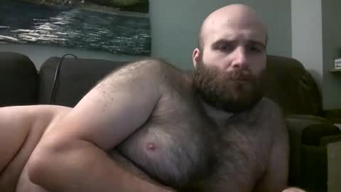 Hairiest Bear online show from February 2025 12:08:02 PM