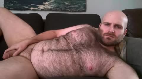 Hairiest Bear online show from February 2025 04:02:01 PM