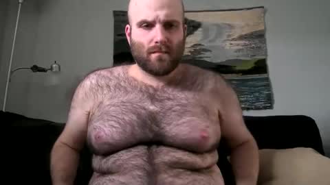 Hairiest Bear online show from February 2025 07:42:02 PM