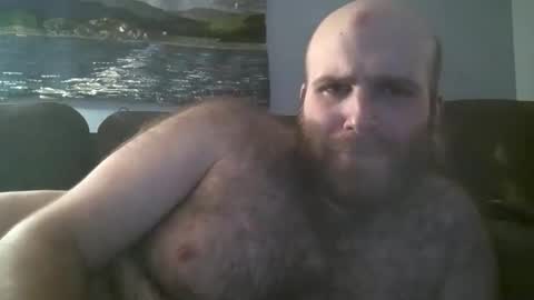 Hairiest Bear online show from February 2025 09:44:02 AM