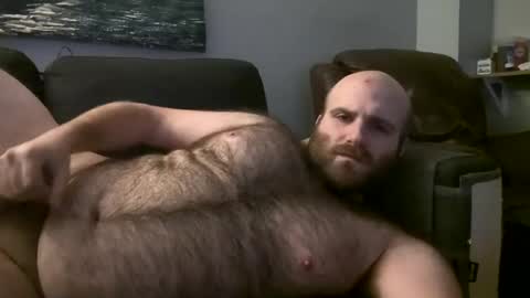 Hairiest Bear online show from March 2025 04:50:02 AM