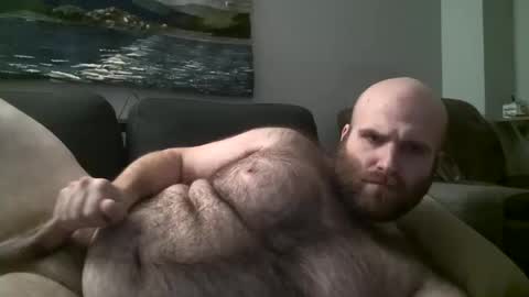 Hairiest Bear online show from March 2025 06:28:02 AM