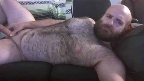 Hairiest Bear online show from June 2026 08:30:01 AM