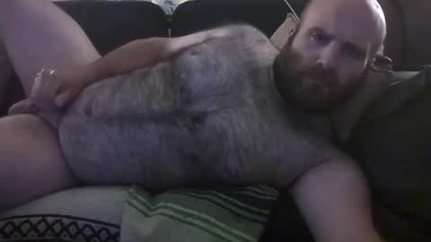 Hairiest Bear online show from June 2026 09:59:02 AM