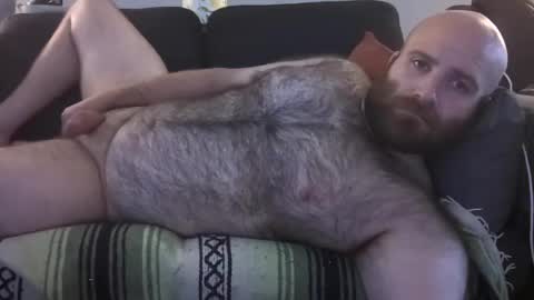 Hairiest Bear online show from July 2026 12:36:02 PM