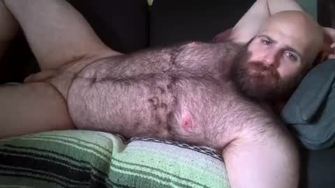 Hairiest Bear online show from August 2026 08:08:01 PM