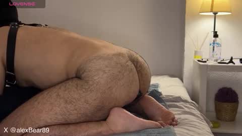 hairyarabbear online show from September 2025 11:59:01 PM