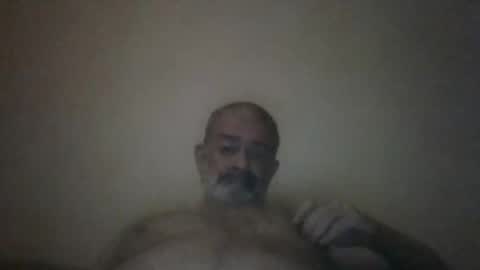 HairyPigSyd online show from March 2025 01:29:01 PM