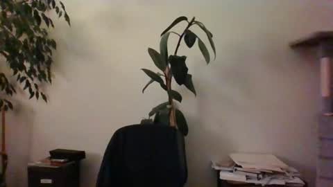 Snapshot of hairypussylover089 chatting on June 2026 04:11:02 AM hairypussylover089 online show from June 2026 04:11:02 AM