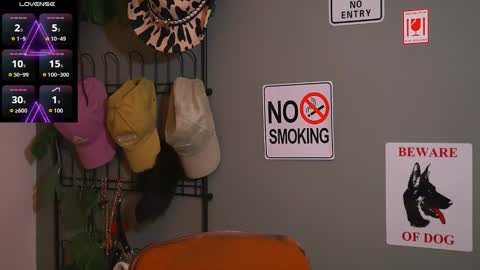 HairyRobXxX online show from November 2025 04:29:01 PM