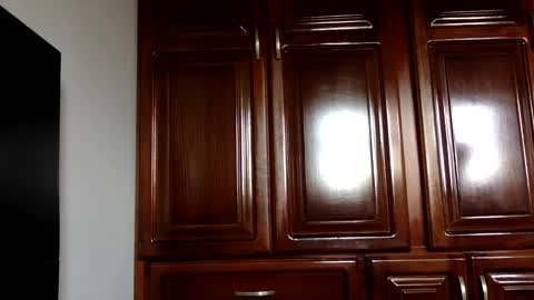 NN420 online show from January 2025 07:44:02 PM