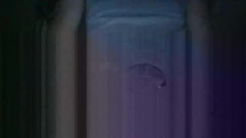 Kiss cocky online show from October 2025 12:36:02 PM