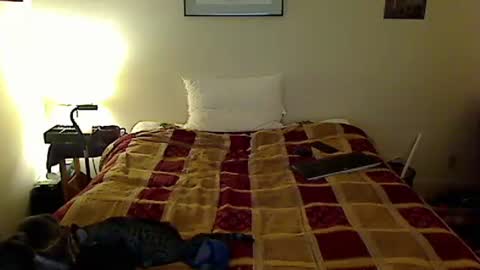 hammerthatthang73 online show from October 2025 08:57:02 AM